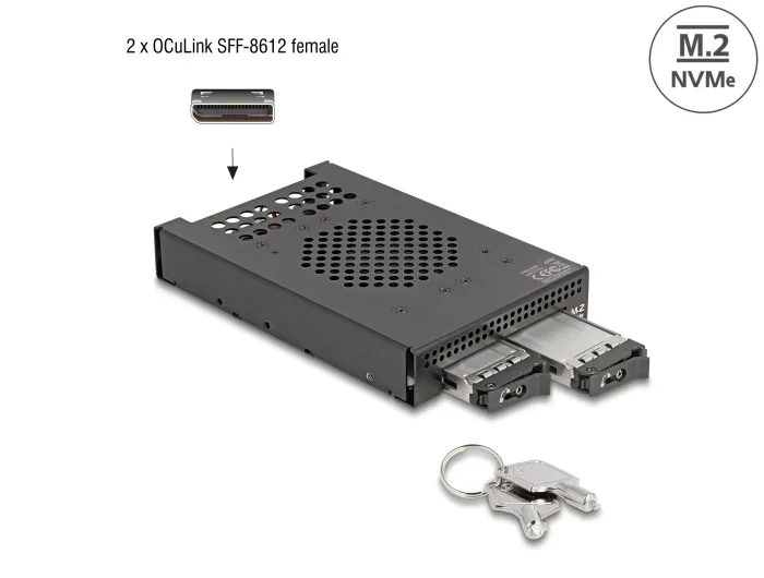 Delock_3_5____Wechselrahmen_f__r_2_x_M_2_NVMe_SSD_mit_OcuLink_SFF-8612_Anschluss__1_3c7bfeea