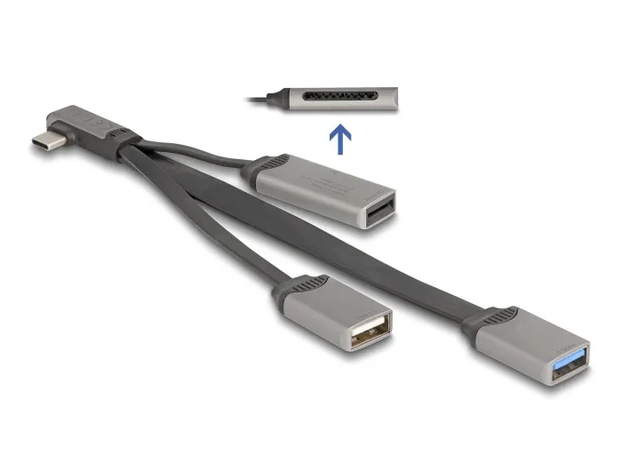 Delock_2_Port_USB_Hub_inklusive_SD_und_Micro_SD_Card_Reader_mit_USB_Type-C____Anschluss__2_a76a6a8e