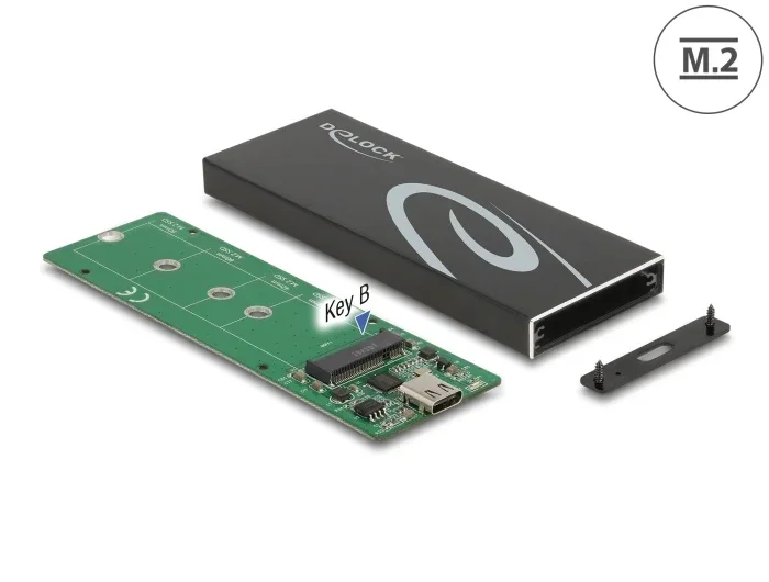 Delock_Externes_Geh__use_f__r_M_2_SATA_SSD_mit_USB_Type-C____Buchse__1_bdfbf6bc