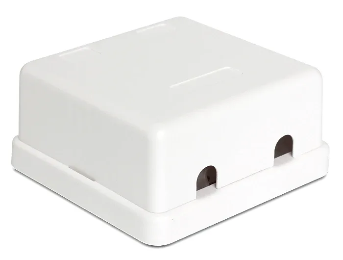 Delock_Keystone_Leergeh__use_2_Port__2_f76dfba7