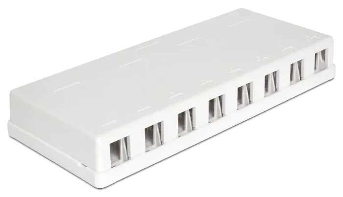 Delock_Keystone_Leergeh__use_8_Port__3_599cd59a