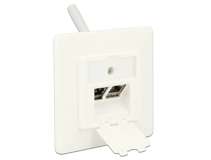 Delock_Keystone_Anschlussdose_2_Port_kompakt__3_8c0d8b22