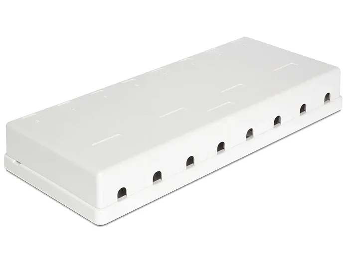 Delock_Keystone_Leergeh__use_8_Port__2_e7412b2e