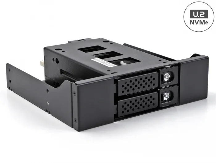 Delock_Slim_Bay_Wechselrahmen_f__r_2_x_2_5____U_2_NVMe_SSD_mit_5_25____Rahmen__1_18a3543d