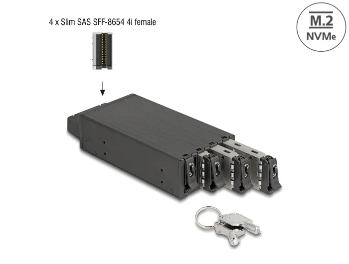 Delock_Slim_Bay_Wechselrahmen_f__r_4_x_M_2_NVMe_SSD_mit_Slim_SAS_SFF-8654_Anschluss__1
