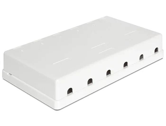 Delock_Keystone_Leergeh__use_6_Port__2_70cd279a