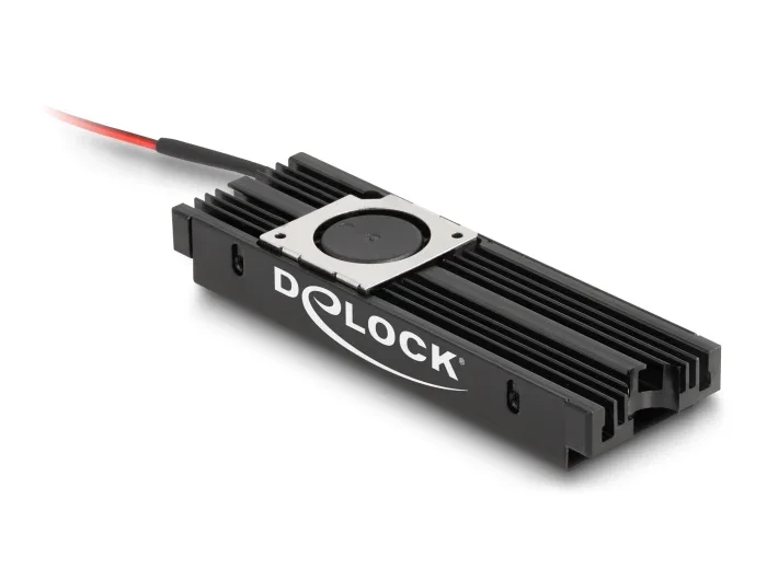 Delock_K__hlk__rper_mit_L__fter_f__r_M_2_SSD_2280_schwarz__2