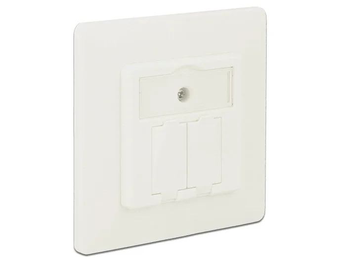 Delock_Keystone_Anschlussdose_2_Port_kompakt__1_7d5b0967