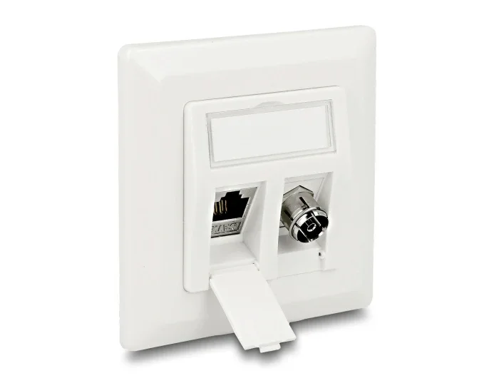 Delock_Keystone_Anschlussdose_2_Port__7_a06ec6df