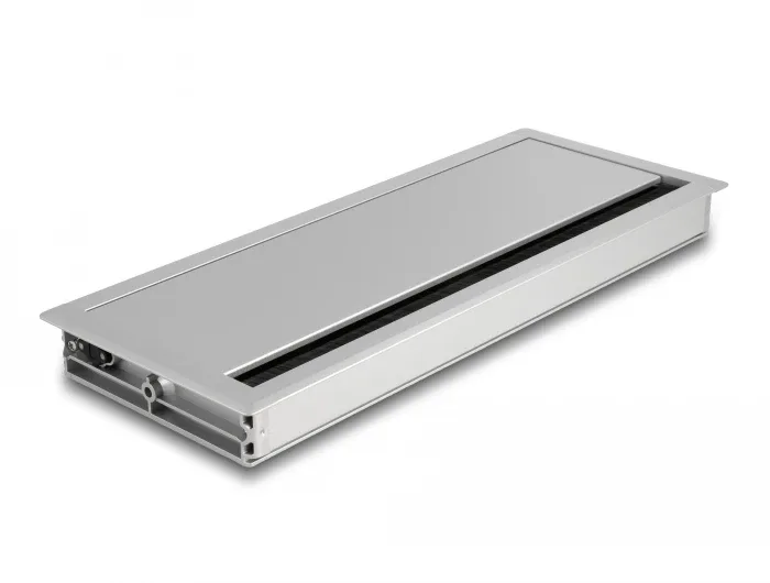 Delock_Kabeldurchf__hrung_f__r_Tischeinbau_mit_B__rste_300_x_120_x_28_mm_silber__1_5e8966b3