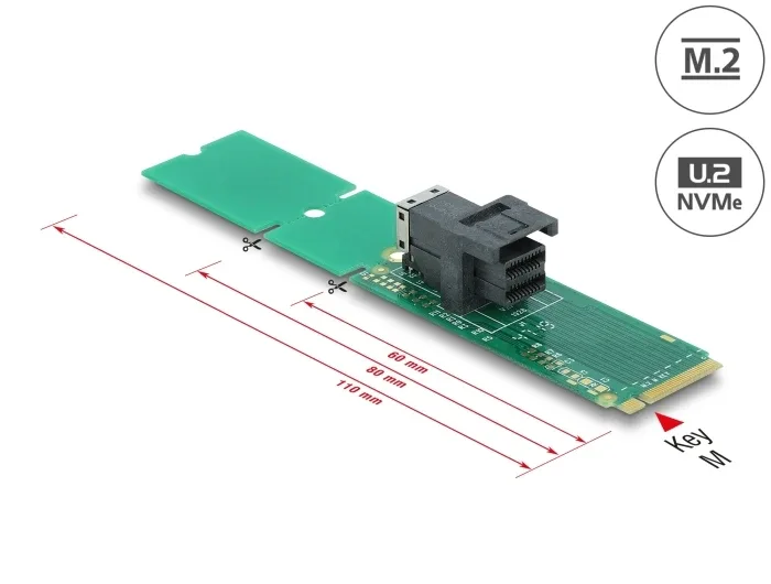 Delock_Adapter_M_2_Key_M_zu_SFF-8643_NVMe_22110___2280___2260__1_76410d34