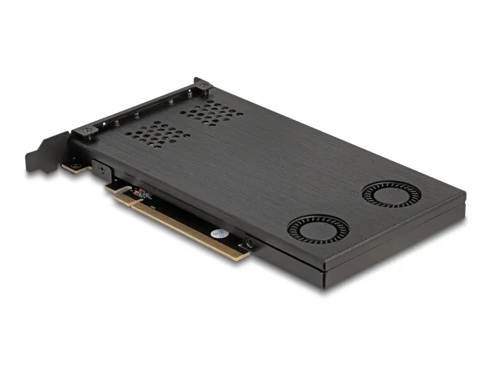 Delock_PCI_Express_x16_Karte_Wechselrahmen_f__r_2_x_M_2_NVMe_SSD_-_Bifurcation__8_a4ed2809