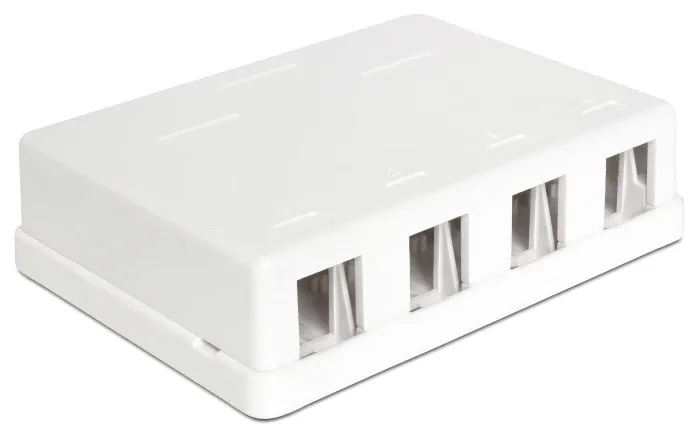 Delock_Keystone_Leergeh__use_4_Port__3_9212a22b