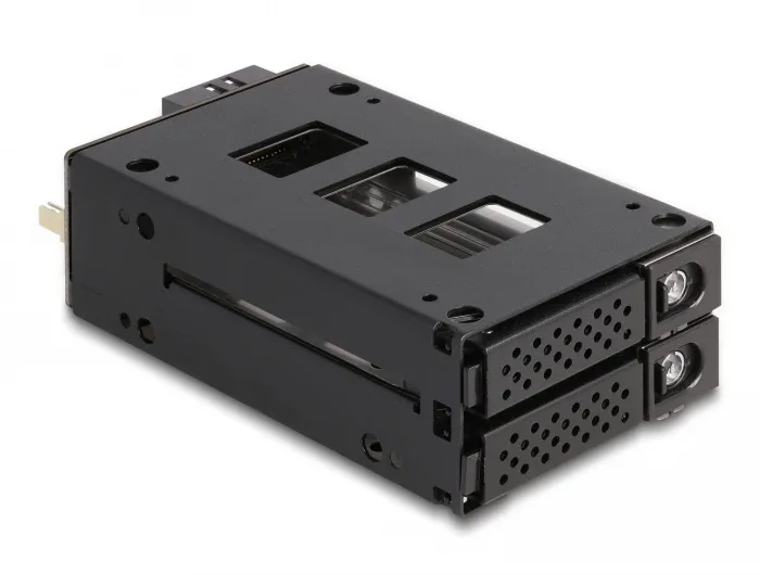 Delock_Slim_Bay_Wechselrahmen_f__r_2_x_2_5____U_2_NVMe_SSD_mit_5_25____Rahmen__5_7ef90503