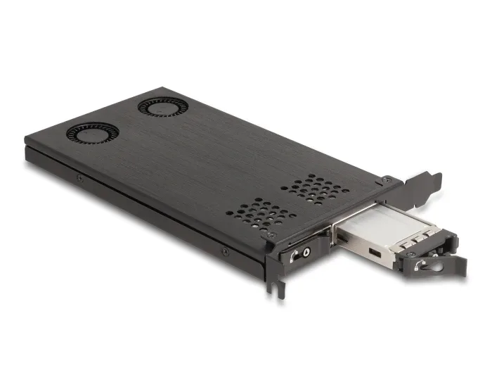 Delock_PCI_Express_x16_Karte_Wechselrahmen_f__r_2_x_M_2_NVMe_SSD_-_Bifurcation__2_cee009ed