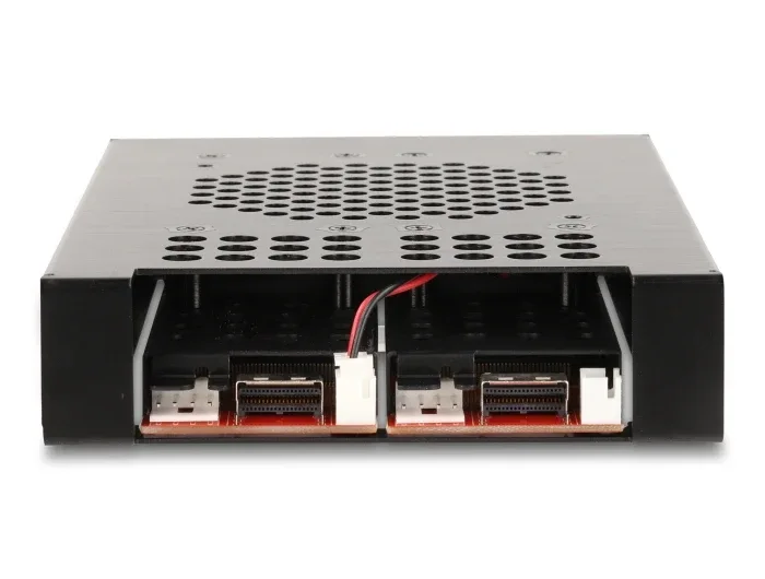 Delock_3_5____Wechselrahmen_f__r_2_x_M_2_NVMe_SSD_mit_Slim_SAS_SFF-8654_Anschluss__5_efa7a564