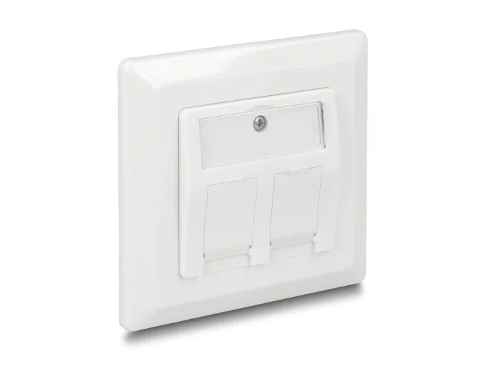 Delock_Keystone_Anschlussdose_2_Port__5_a041f44f