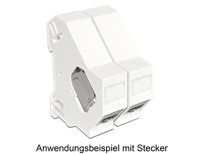 Delock_Keystone_Halterung_f__r_Hutschienen__3_d3425887