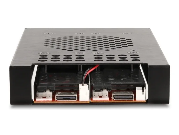 Delock_3_5____Wechselrahmen_f__r_2_x_M_2_NVMe_SSD_mit_OcuLink_SFF-8612_Anschluss__5_24db1940