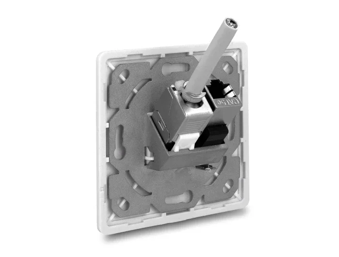 Delock_Keystone_Anschlussdose_2_Port_kompakt__8