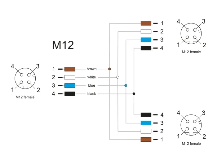 Delock_M12_T-Splitter_A-kodiert_4_Pin_1_x_Buchse_zu_2_x_Buchse_Parallelschaltung__4_218ed98e