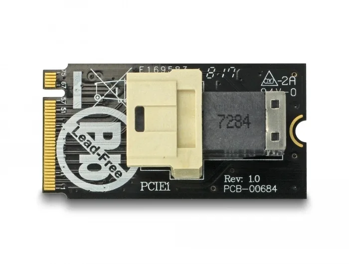 Delock_Adapter_M_2_Key_M___SFF-8643_NVMe_horizontal_2242__2_e83394a0