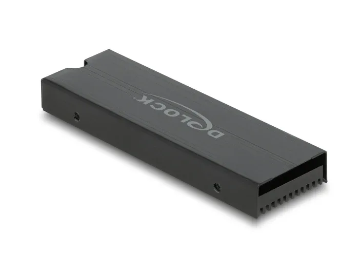 Delock_K__hlk__rper_f__r_M_2_SSD_2280_schwarz__3_c0f1f35e