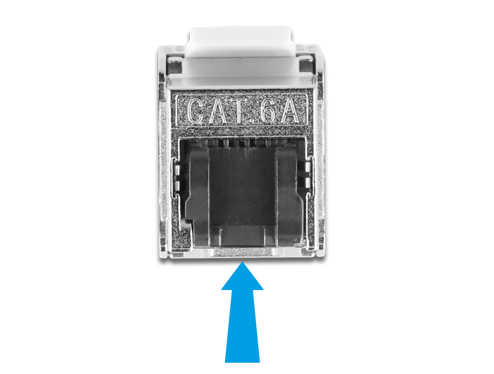 Delock Kabel RJ45 Stecker zu Keystone Modul RJ45 Buchse Cat.6A 25 cm schwarz #3 
