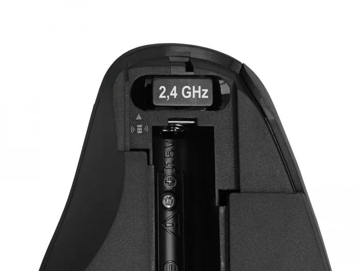 Delock_Ergonomische_USB_Maus_-_kabellos__2_af2a8088