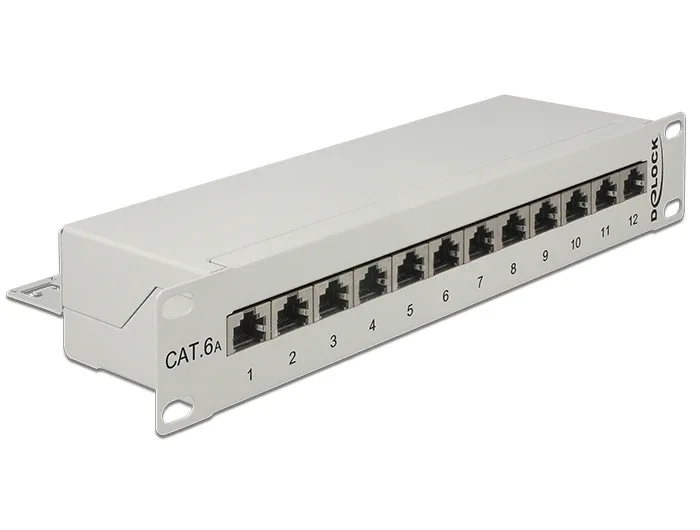 Delock_10____Patchpanel_12_Port_Cat_6A_grau__1_f42a21ee