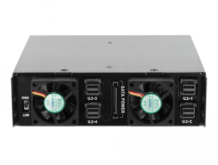 Delock_5_25____Wechselrahmen_f__r_4_x_2_5____U_2_NVMe_SSD_mit_abschlie__baren_Trays__3