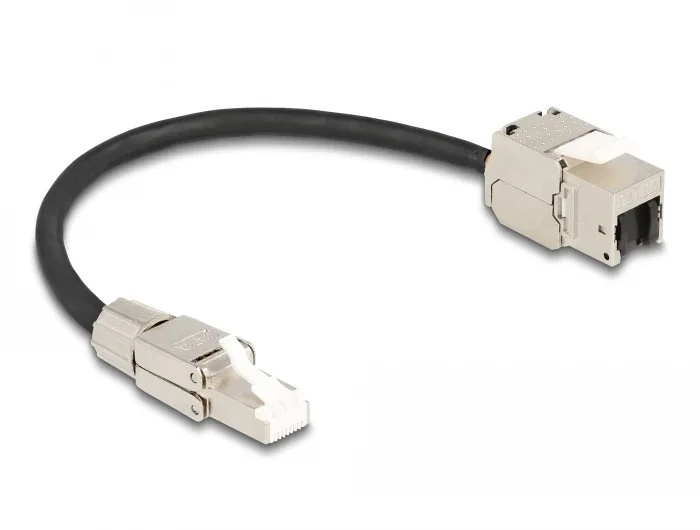 Delock_Kabel_RJ45_Stecker_feldkonfektionierbar_zu_Keystone_Modul_RJ45_Buchse_Cat_6A_25_cm__2_d73d7fa5