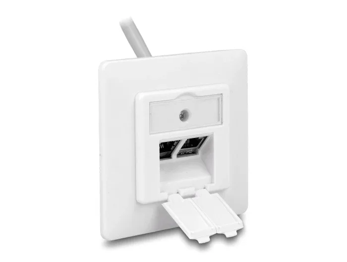 Delock_Keystone_Anschlussdose_2_Port_kompakt__7_51486afa