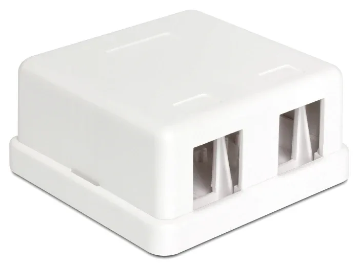 Delock_Keystone_Leergeh__use_2_Port__3_5d331749