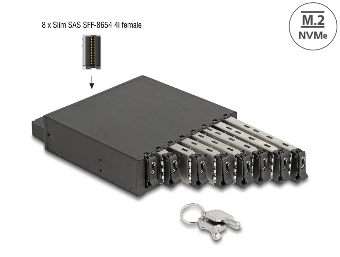 Delock_5_25____Wechselrahmen_f__r_8_x_M_2_NVMe_SSD_mit_Slim_SAS_SFF-8654_Anschluss__1_21dc1384