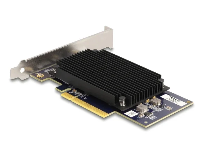 Delock_PCI_Express_x8_Hailo-8____AI_Prozessor_x2_KI-Beschleuniger__2_32c7ccb2