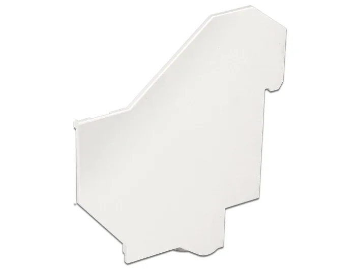 Delock_Abdeckung_f__r_Keystone_Hutschienen_Halterung__1_26dfd79e