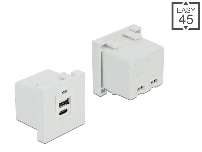 Delock_Easy_45_USB_Ladeportmodul_1_x_USB_Typ-A___1_x_USB_Type-C_____1_8f281cc9