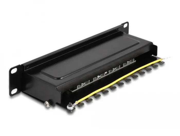 Delock_10____Patchpanel_8_Port_Cat_6A_1_HE_schwarz__2