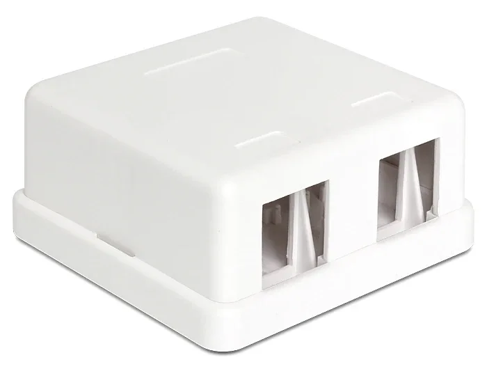 Delock_Keystone_Leergeh__use_2_Port__5_6a856b5e