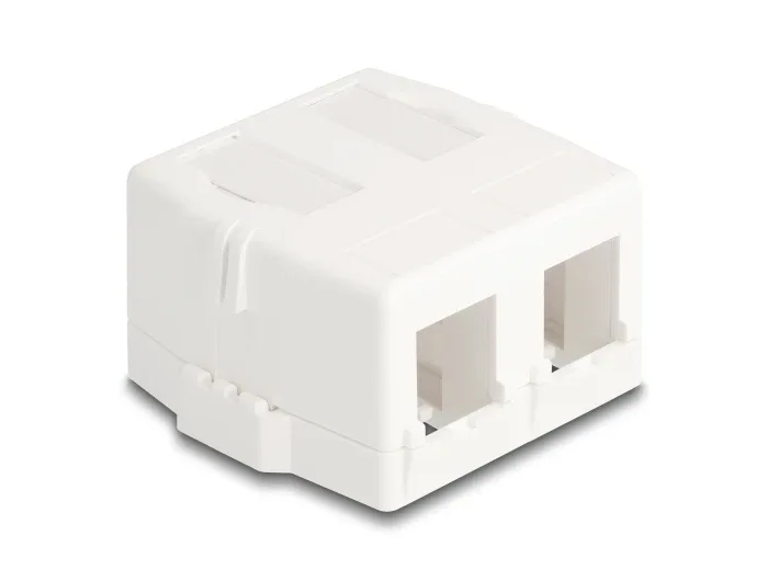 Delock_Keystone_Leergeh__use_2_Port_mit_magnetischer_Unterseite__wei____2_d10f5bbc