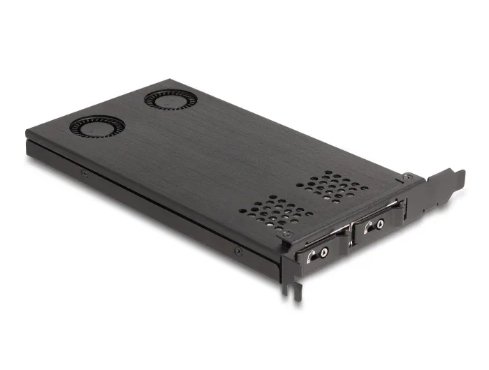 Delock_PCI_Express_x16_Karte_Wechselrahmen_f__r_2_x_M_2_NVMe_SSD_-_Bifurcation__4_c869de85
