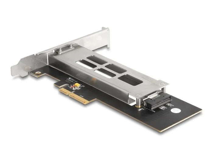 Delock_Wechselrahmen_PCI_Express_Karte_f__r_1_x_M_2_NVMe_SSD_-_Low_Profile_Formfaktor__7_83256504