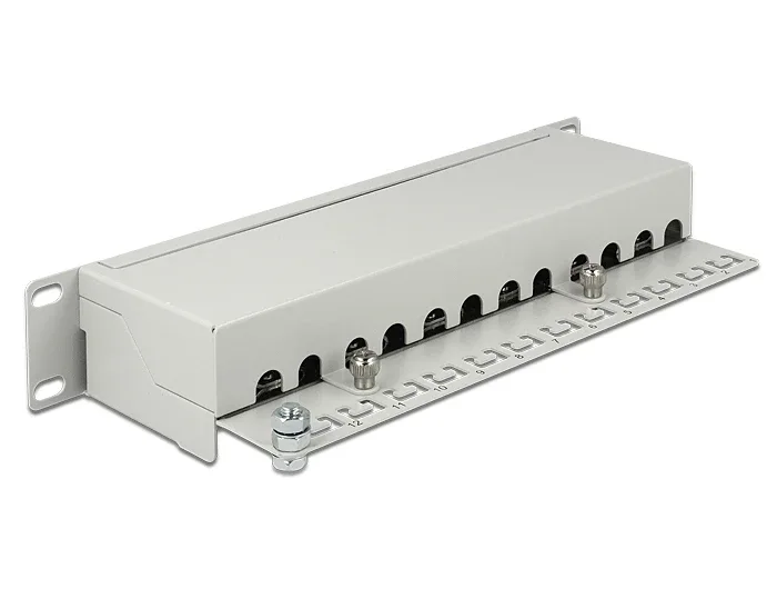 Delock_10____Patchpanel_12_Port_Cat_6A_grau__2_9fc7ed00