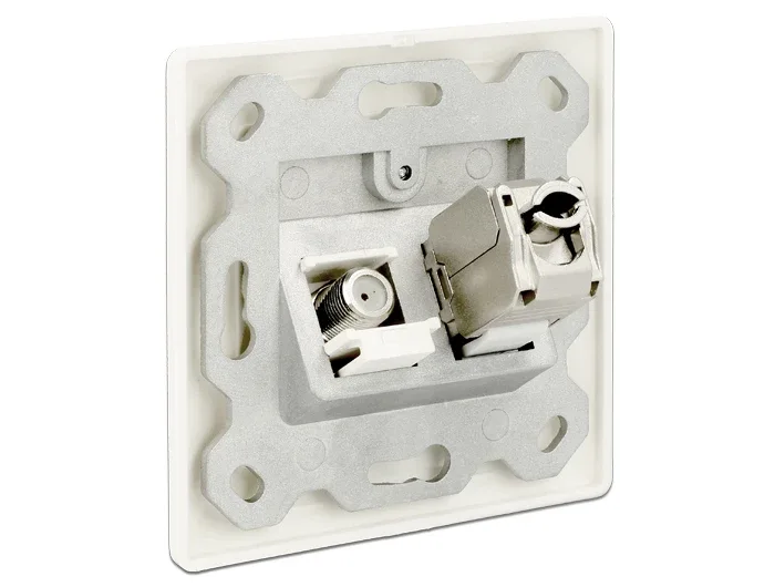 Delock_Keystone_Anschlussdose_2_Port__4_c2cba2dc