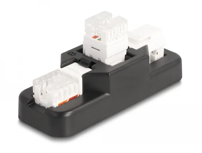 Delock_Keystone_LSA_Set_mit_Auflegehalterung_RJ45___RJ11_Cat_6_schwarz__1