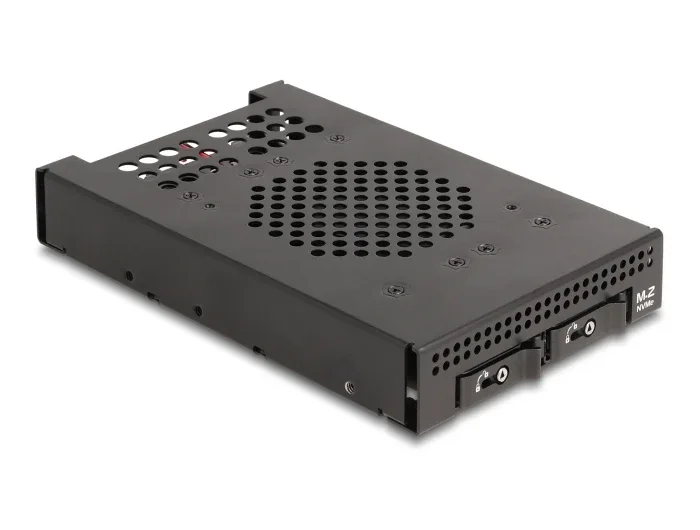Delock_3_5____Wechselrahmen_f__r_2_x_M_2_NVMe_SSD_mit_Slim_SAS_SFF-8654_Anschluss__2_8cdceadc